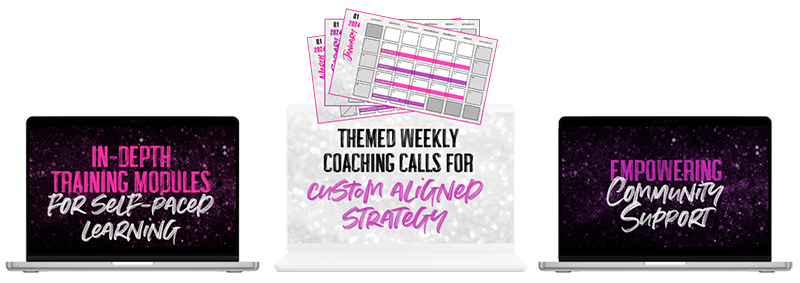 The elements of the Strategic Success System: in-depth training modules, themed weekly coaching calls, empowering community support